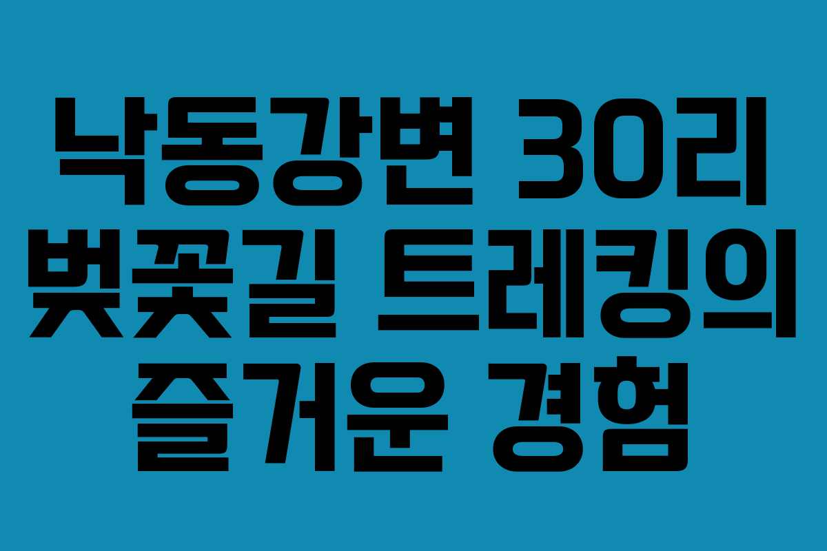 낙동강변 30리 벚꽃길 트레킹의 즐거운 경험