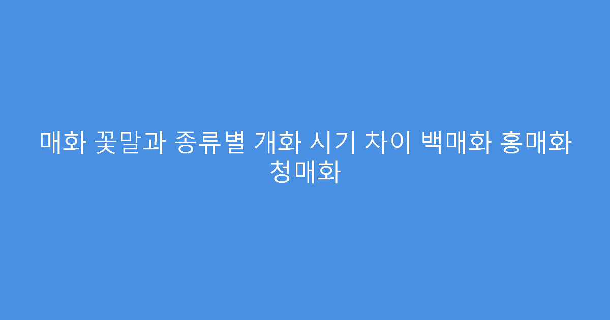 매화 꽃말과 종류별 개화 시기 차이 백매화 홍매화 청매화