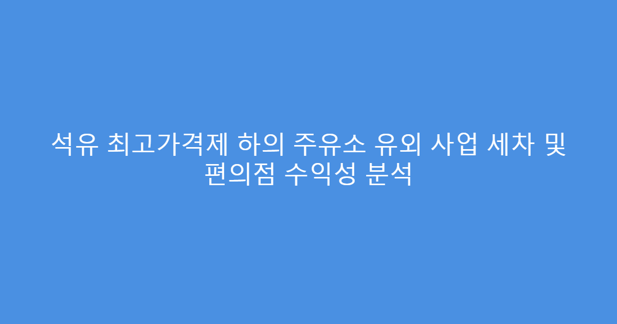 석유 최고가격제 하의 주유소 유외 사업 세차 및 편의점 수익성 분석
