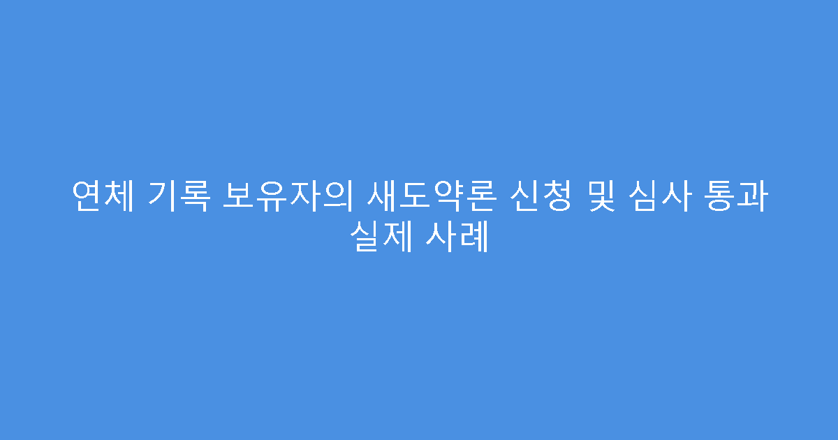 연체 기록 보유자의 새도약론 신청 및 심사 통과 실제 사례