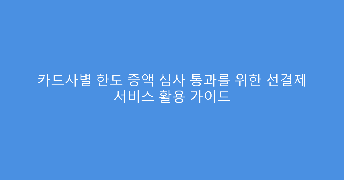 카드사별 한도 증액 심사 통과를 위한 선결제 서비스 활용 가이드