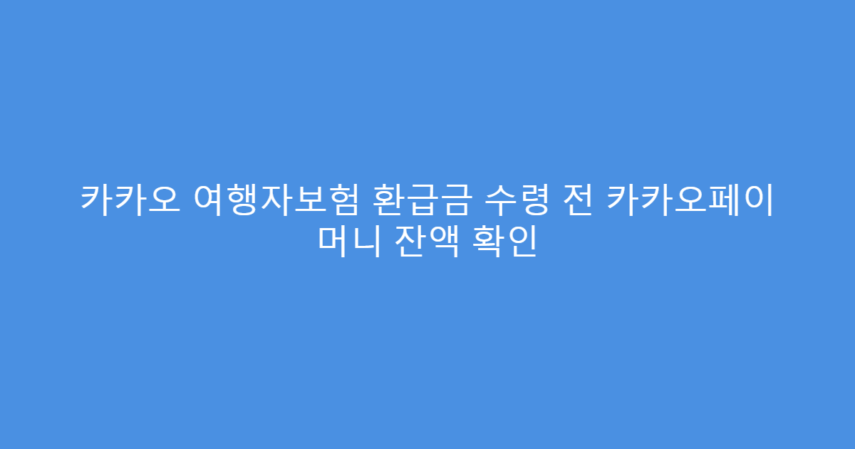 카카오 여행자보험 환급금 수령 전 카카오페이 머니 잔액 확인