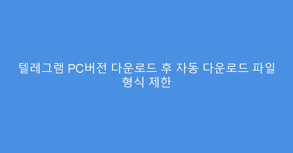 텔레그램 PC버전 다운로드 후 자동 다운로드 파일 형식 제한