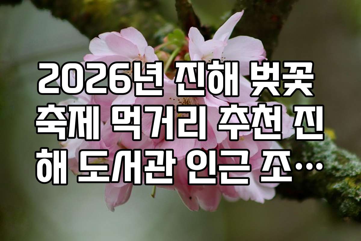 2026년 진해 벚꽃 축제 먹거리 추천 진해 도서관 인근 조용한 맛집