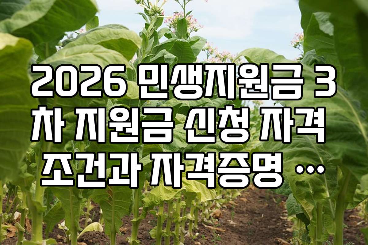 2026 민생지원금 3차 지원금 신청 자격 조건과 자격증명 방법