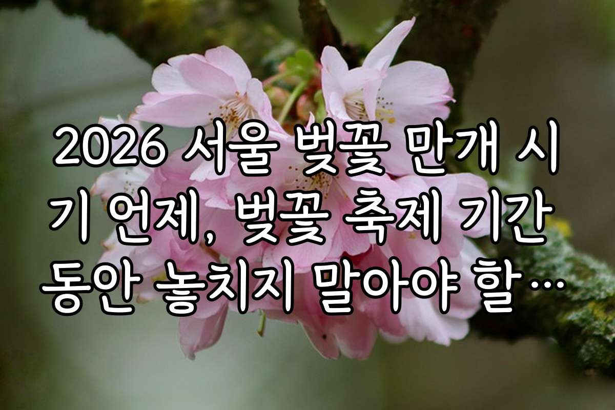 2026 서울 벚꽃 만개 시기 언제, 벚꽃 축제 기간 동안 놓치지 말아야 할 행사