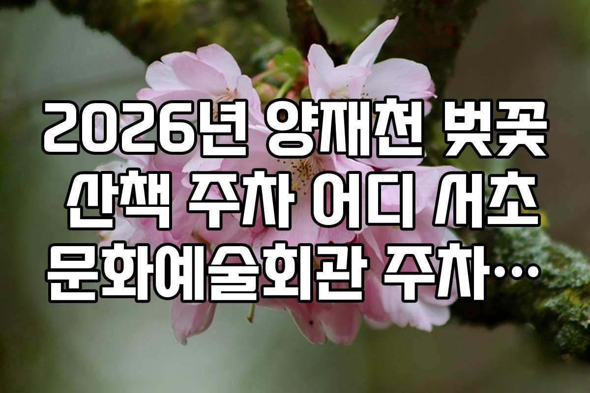 2026년 양재천 벚꽃 산책 주차 어디 서초문화예술회관 주차 정보