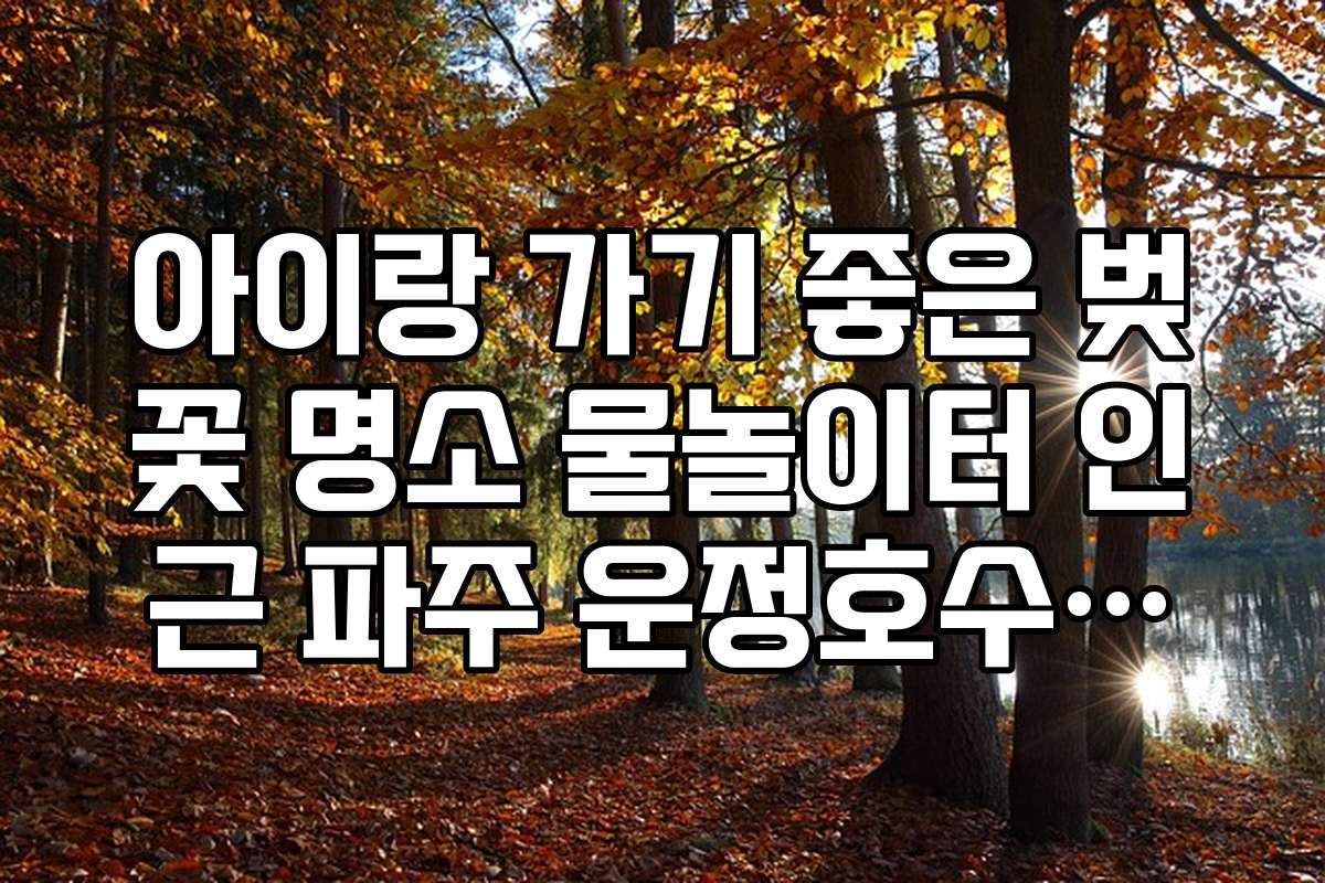 아이랑 가기 좋은 벚꽃 명소 물놀이터 인근 파주 운정호수공원
