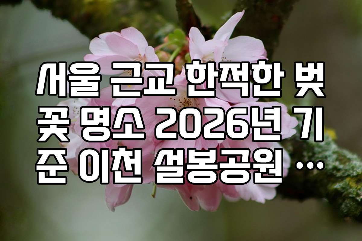 서울 근교 한적한 벚꽃 명소 2026년 기준 이천 설봉공원 산책로