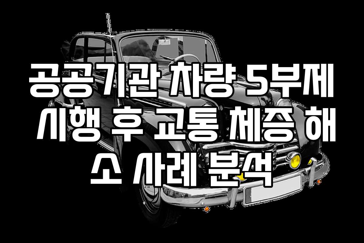 공공기관 차량 5부제 시행 후 교통 체증 해소 사례 분석
