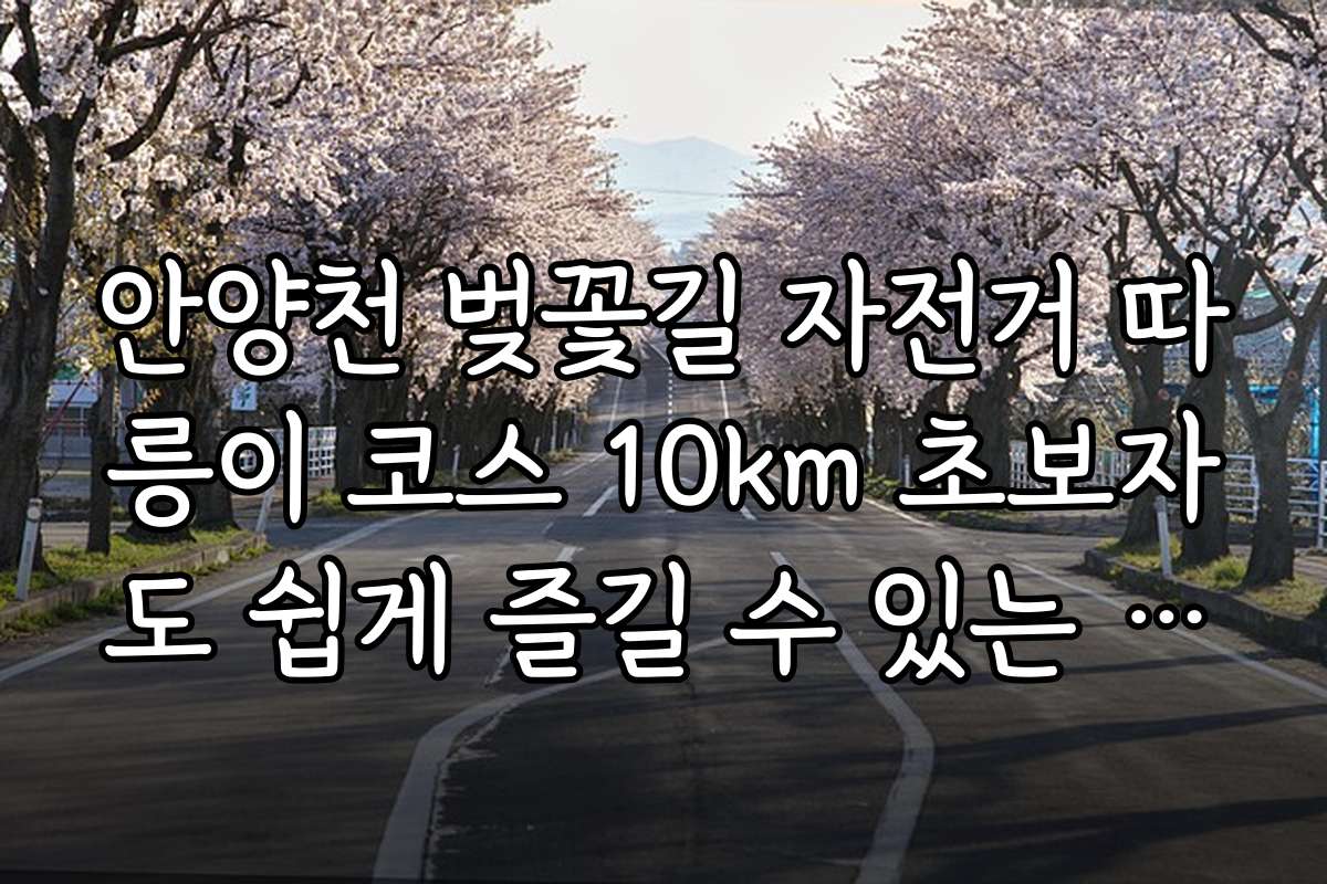 안양천 벚꽃길 자전거 따릉이 코스 10km 초보자도 쉽게 즐길 수 있는 추천 코스와 팁