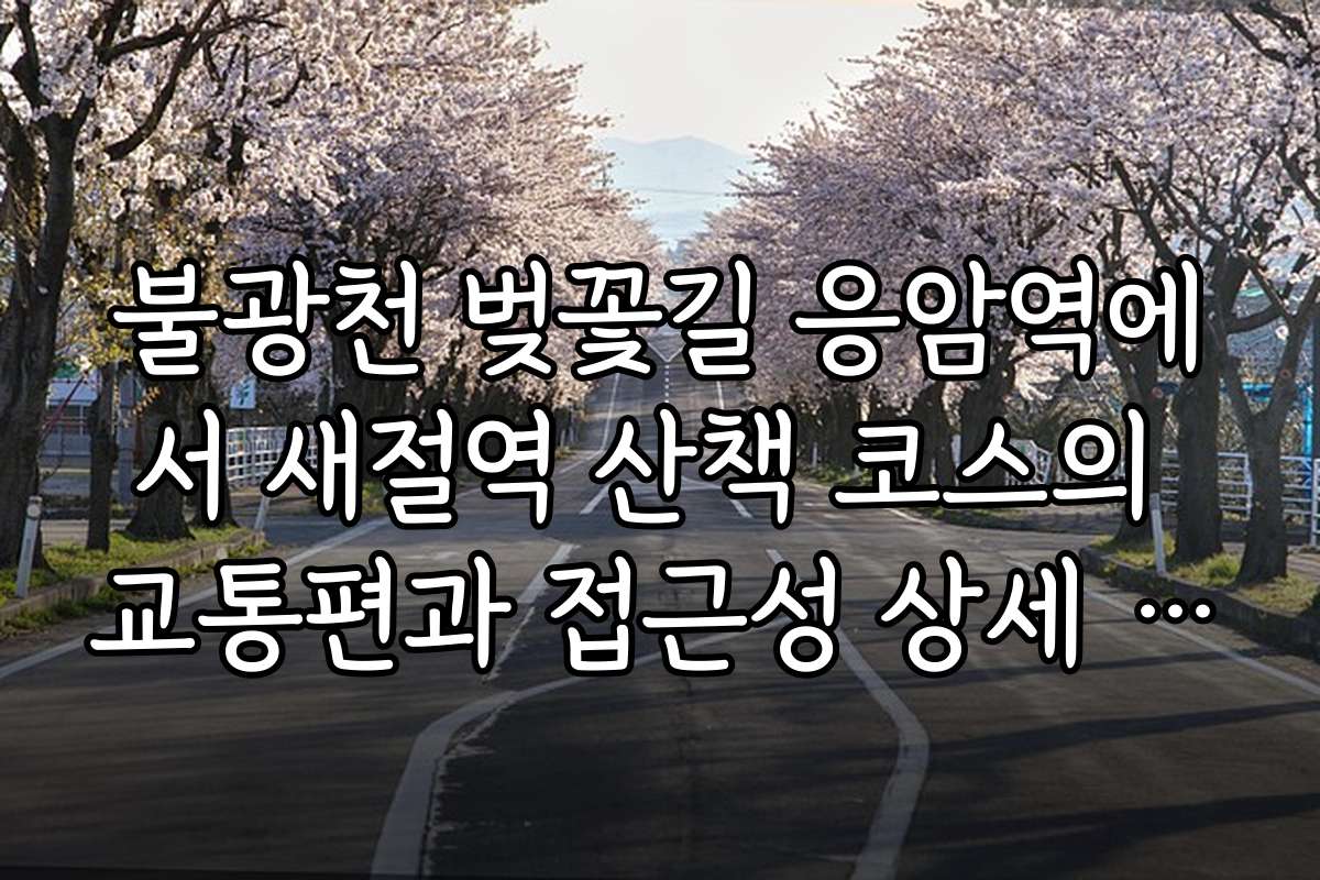 불광천 벚꽃길 응암역에서 새절역 산책 코스의 교통편과 접근성 상세 안내