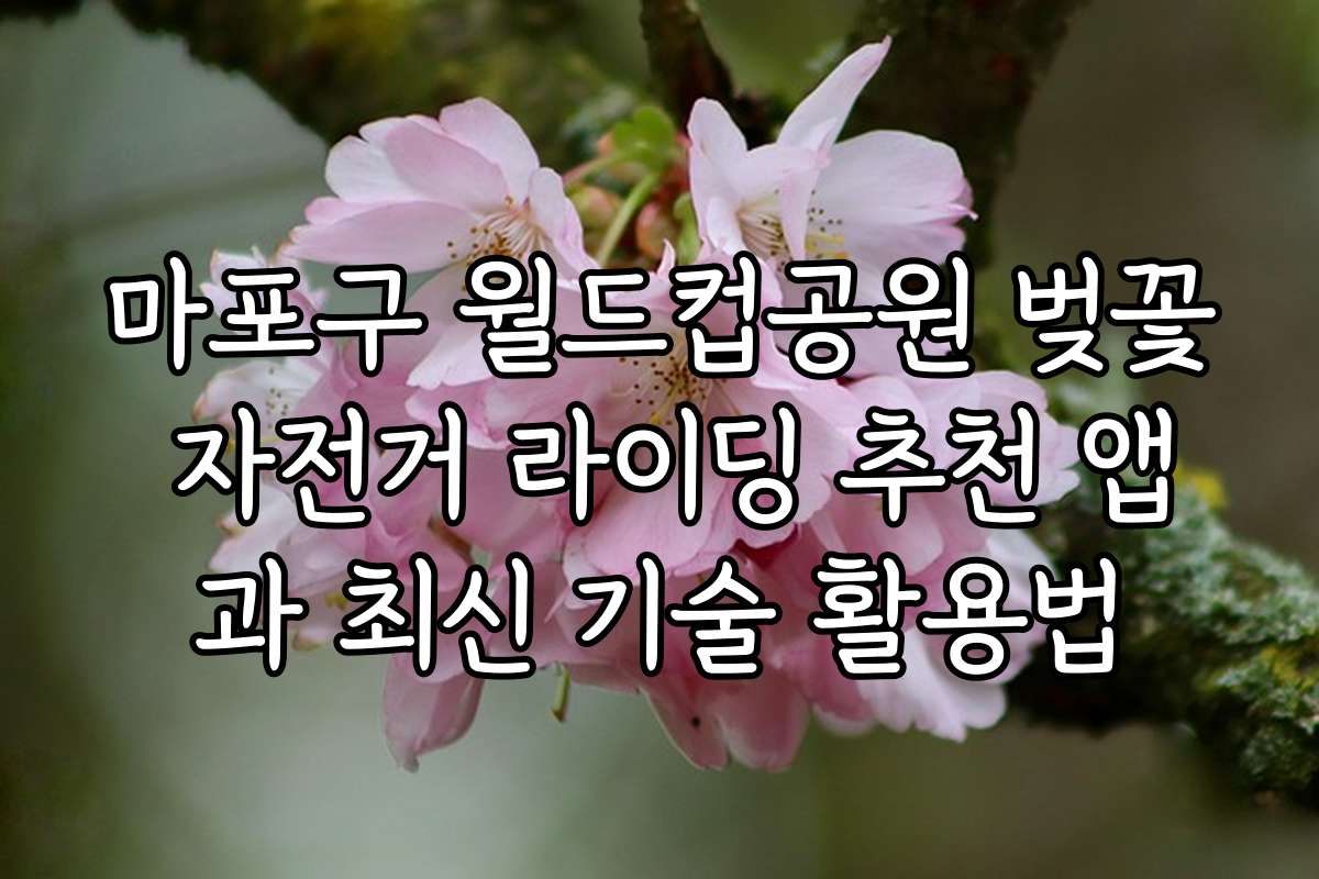 마포구 월드컵공원 벚꽃 자전거 라이딩 추천 앱과 최신 기술 활용법