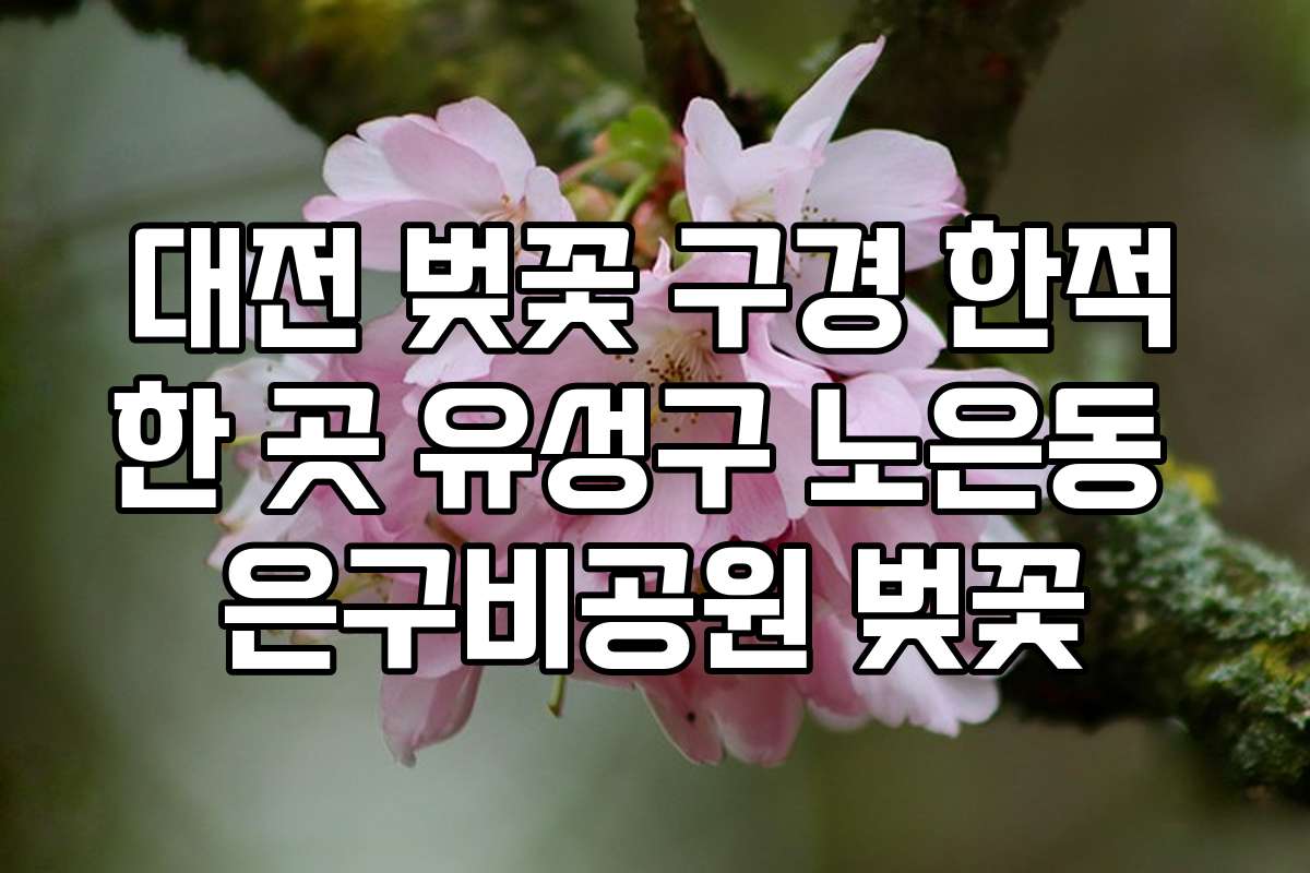대전 벚꽃 구경 한적한 곳 유성구 노은동 은구비공원 벚꽃
