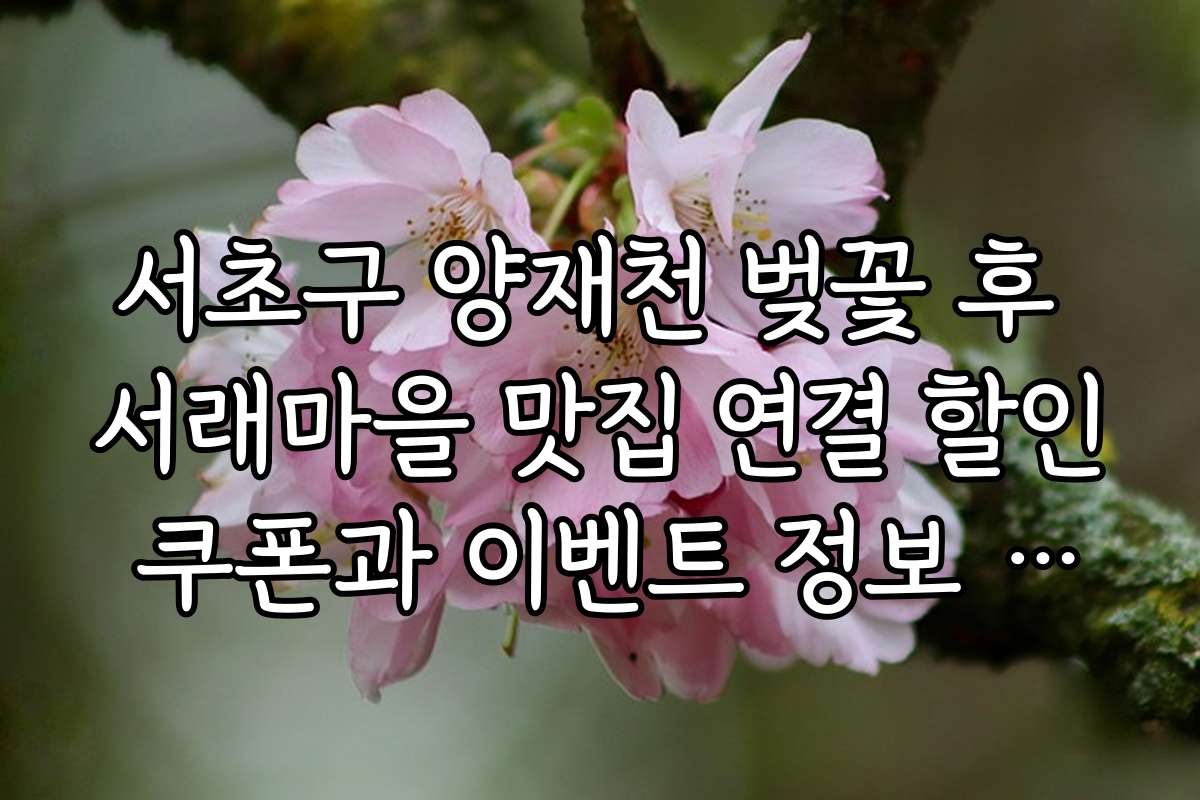 서초구 양재천 벚꽃 후 서래마을 맛집 연결 할인 쿠폰과 이벤트 정보 모음