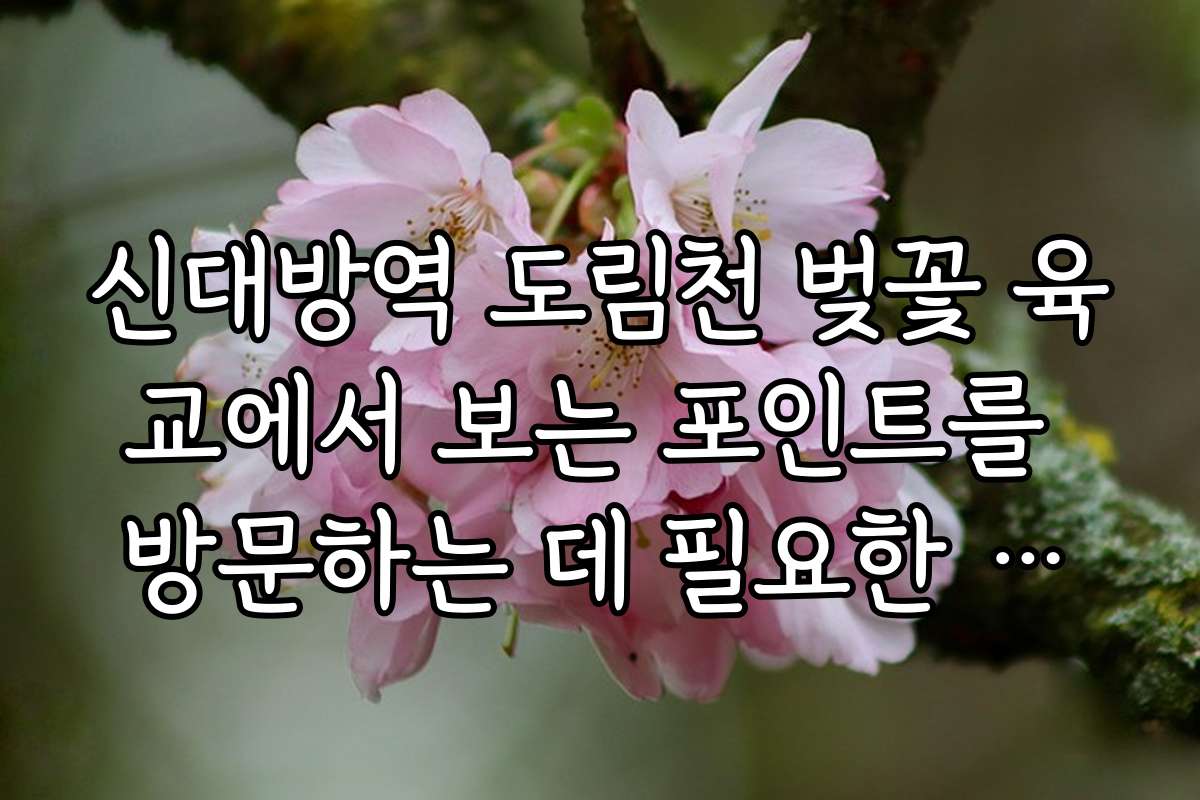 신대방역 도림천 벚꽃 육교에서 보는 포인트를 방문하는 데 필요한 최소 예상 비용과 예산 세우기