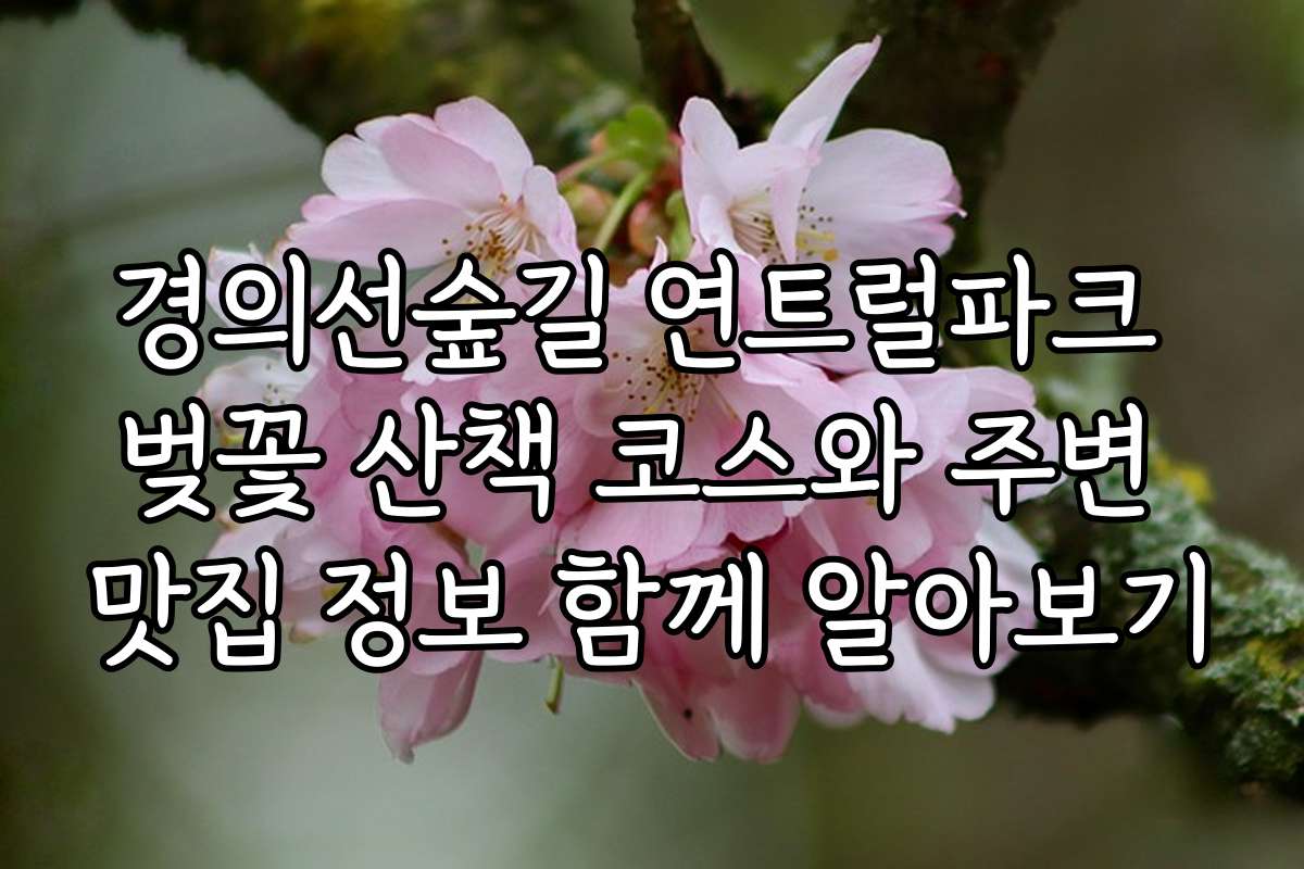 경의선숲길 연트럴파크 벚꽃 산책 코스와 주변 맛집 정보 함께 알아보기