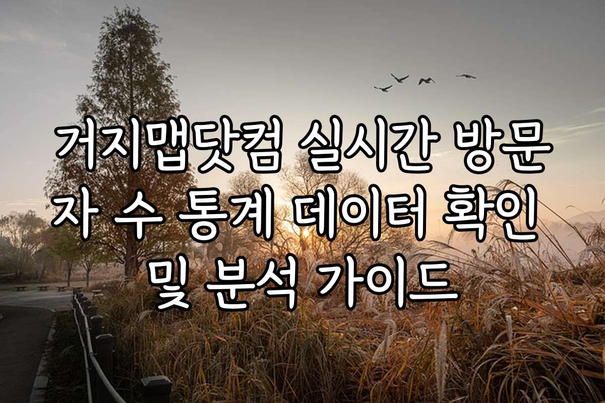 거지맵닷컴 실시간 방문자 수 통계 데이터 확인 및 분석 가이드