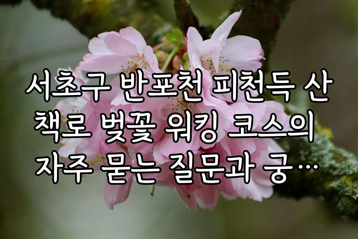 서초구 반포천 피천득 산책로 벚꽃 워킹 코스의 자주 묻는 질문과 궁금증 해결 가이드