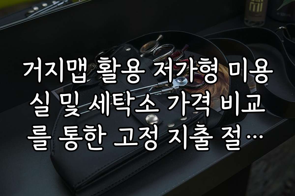 거지맵 활용 저가형 미용실 및 세탁소 가격 비교를 통한 고정 지출 절감법