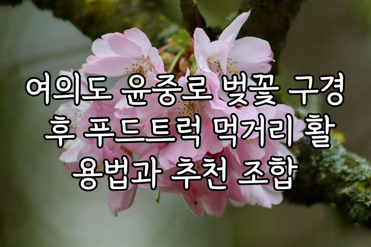여의도 윤중로 벚꽃 구경 후 푸드트럭 먹거리 활용법과 추천 조합