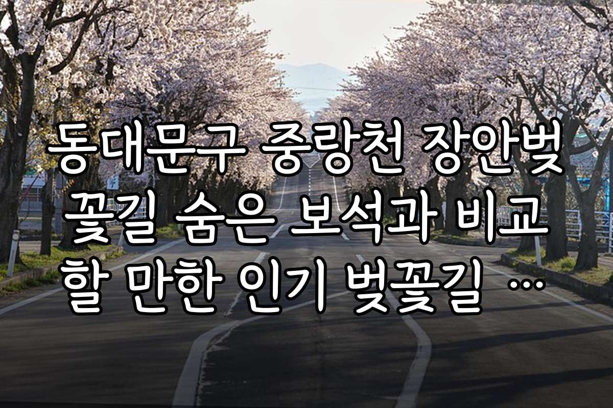 동대문구 중랑천 장안벚꽃길 숨은 보석과 비교할 만한 인기 벚꽃길 추천