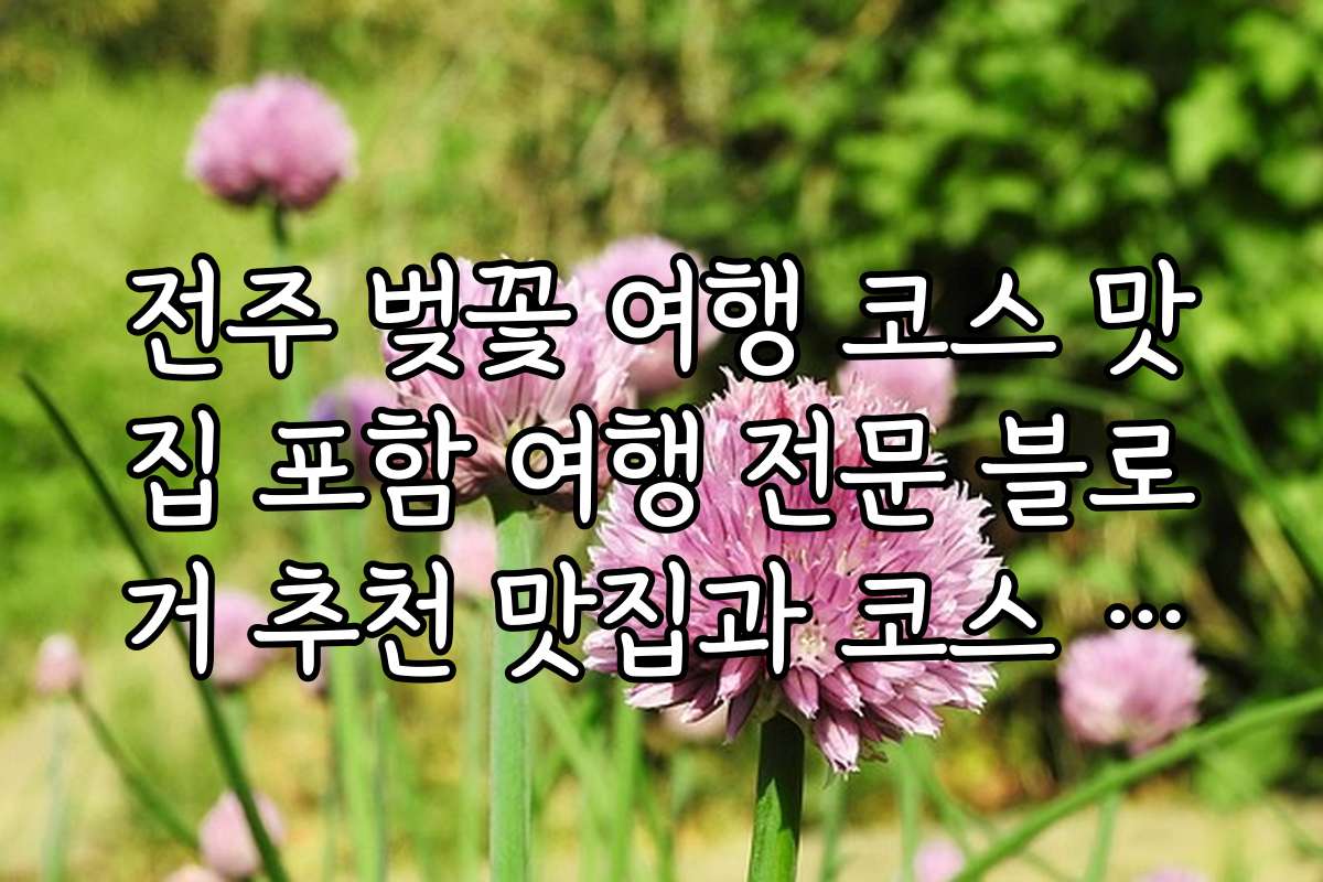 전주 벚꽃 여행 코스 맛집 포함 여행 전문 블로거 추천 맛집과 코스 일정