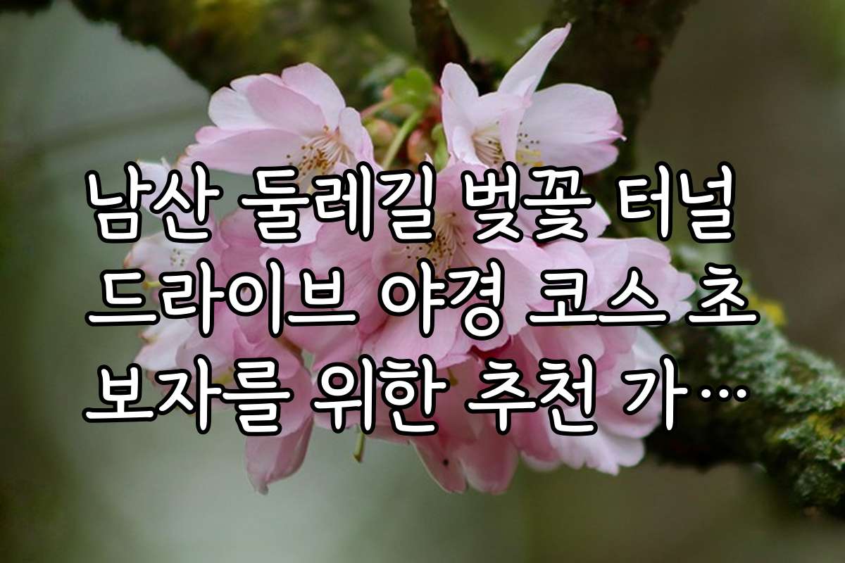 남산 둘레길 벚꽃 터널 드라이브 야경 코스 초보자를 위한 추천 가이드와 팁