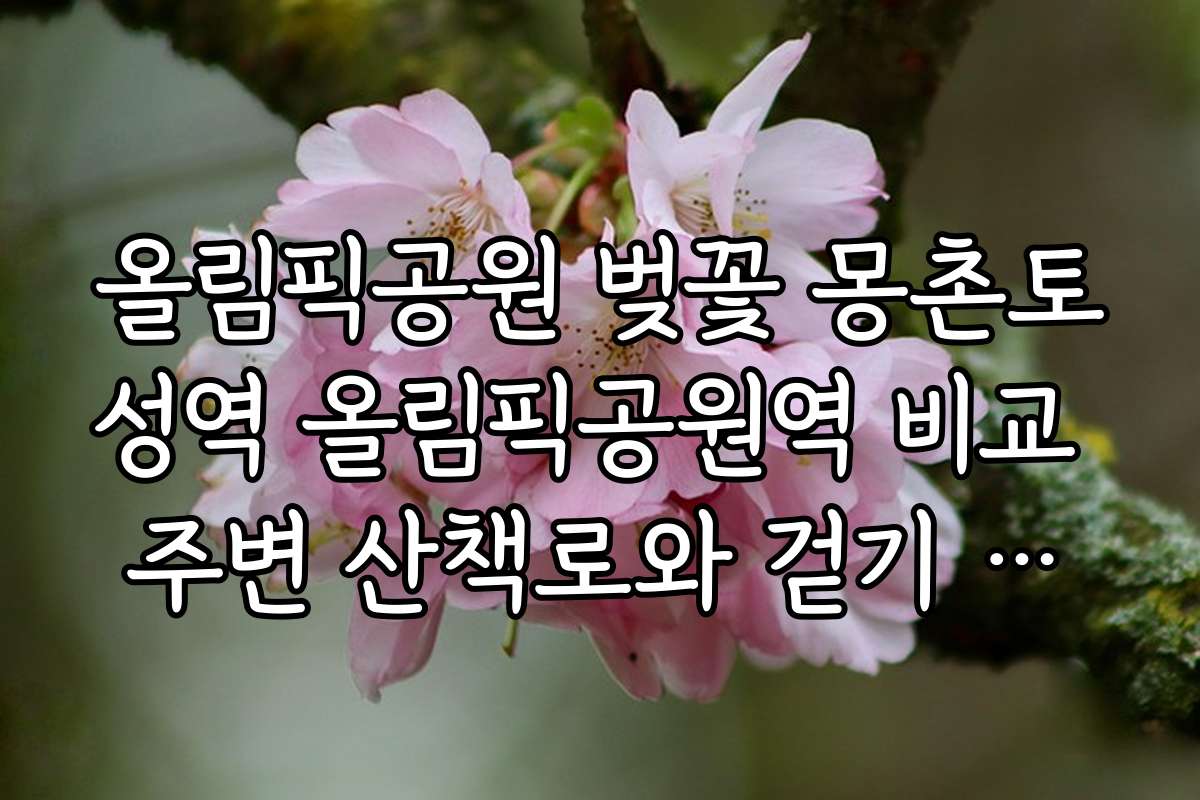 올림픽공원 벚꽃 몽촌토성역 올림픽공원역 비교 주변 산책로와 걷기 좋은 코스 안내