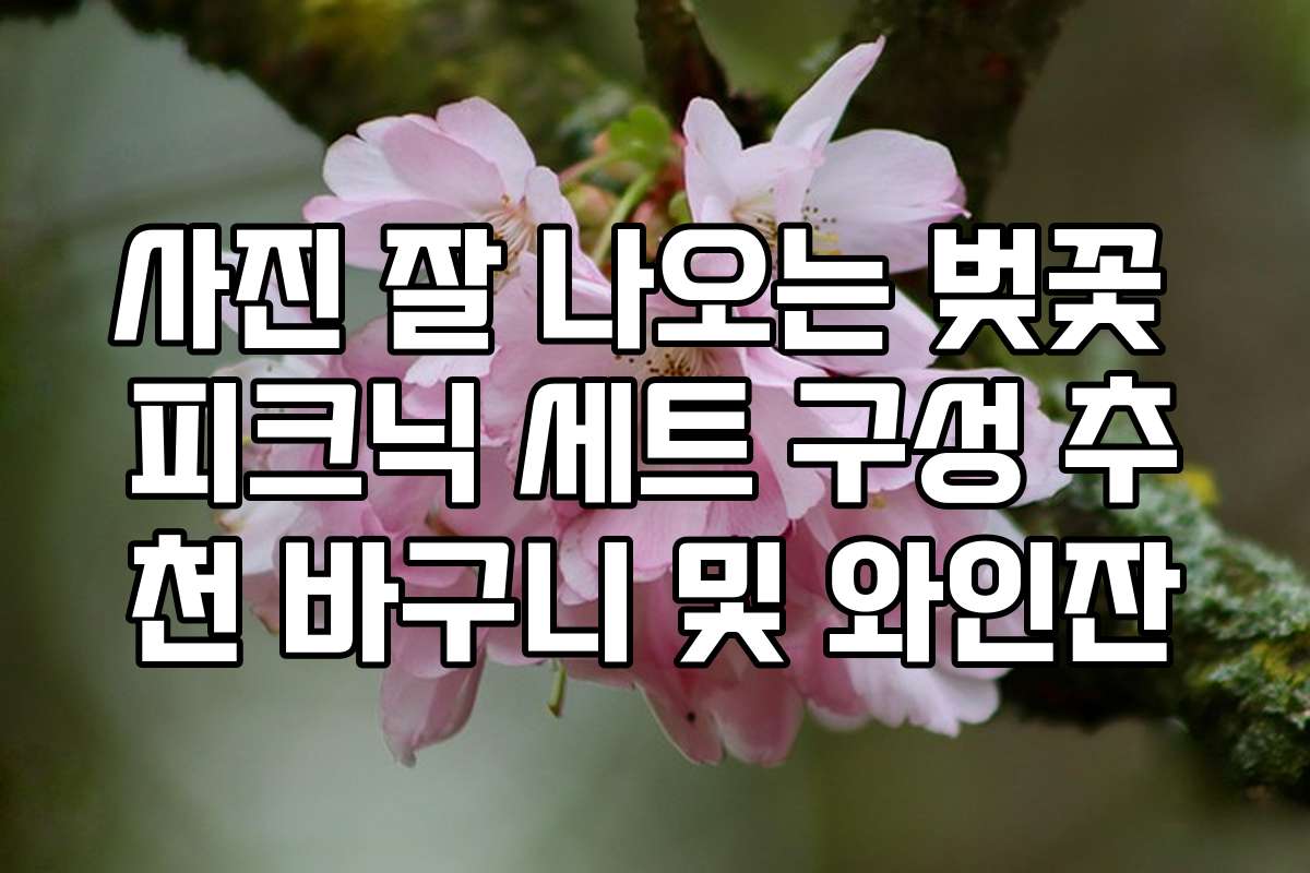 사진 잘 나오는 벚꽃 피크닉 세트 구성 추천 바구니 및 와인잔