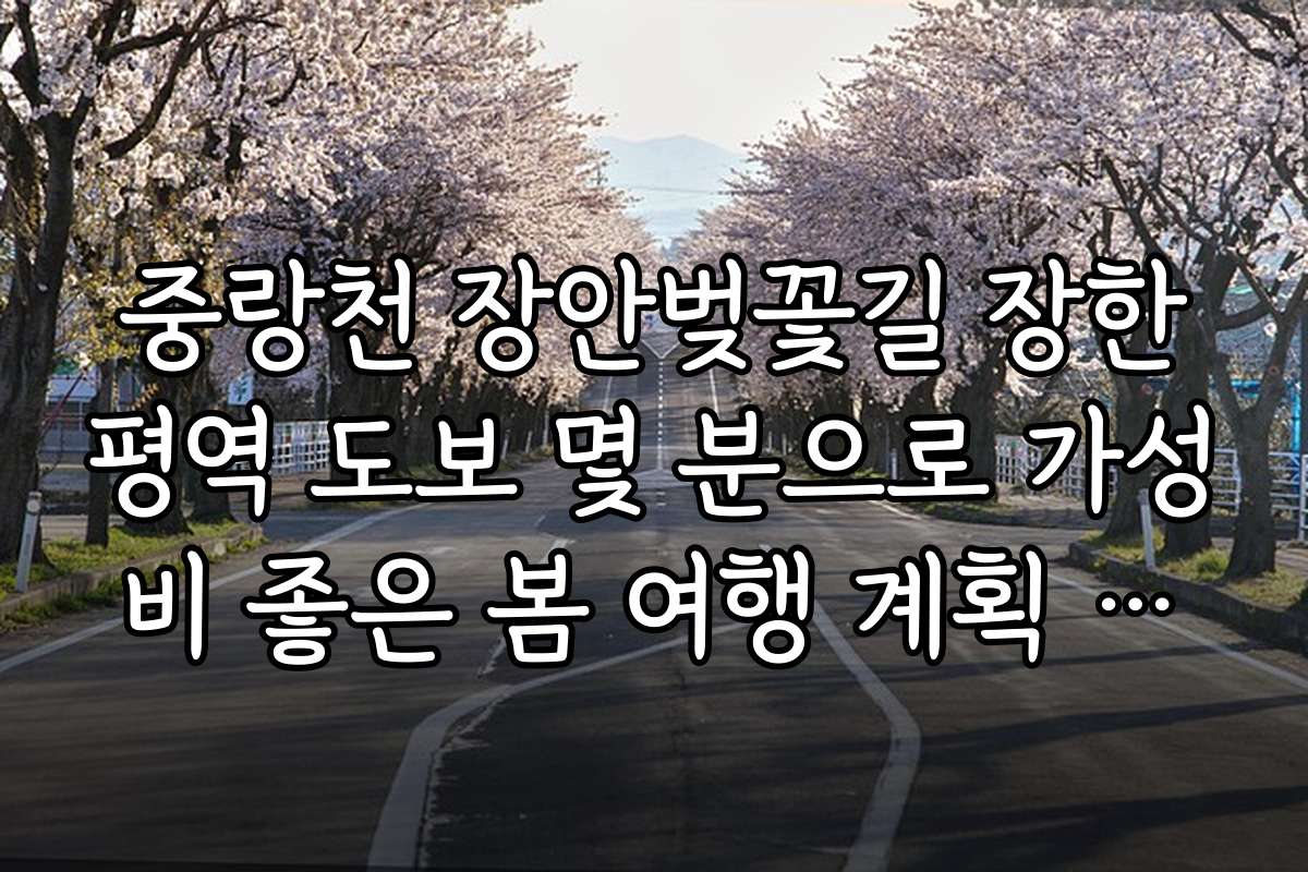 중랑천 장안벚꽃길 장한평역 도보 몇 분으로 가성비 좋은 봄 여행 계획 세우기