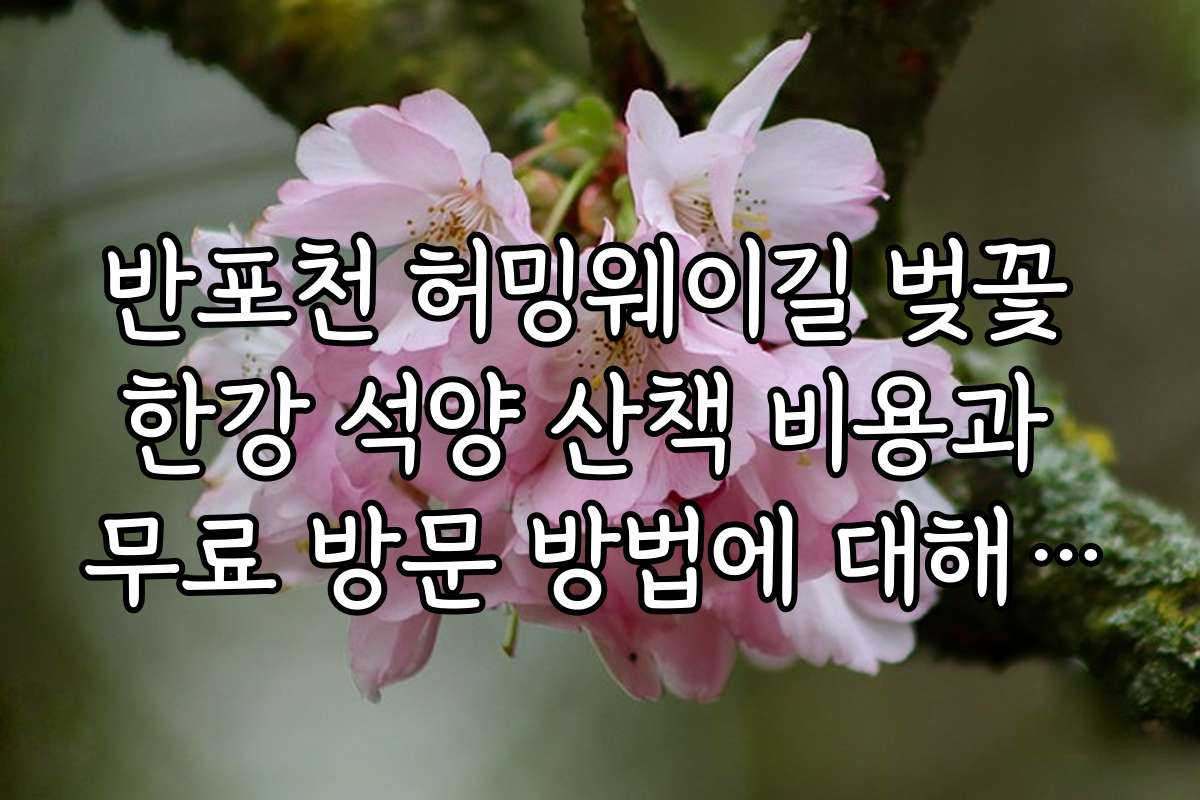 반포천 허밍웨이길 벚꽃 한강 석양 산책 비용과 무료 방문 방법에 대해 알려줘