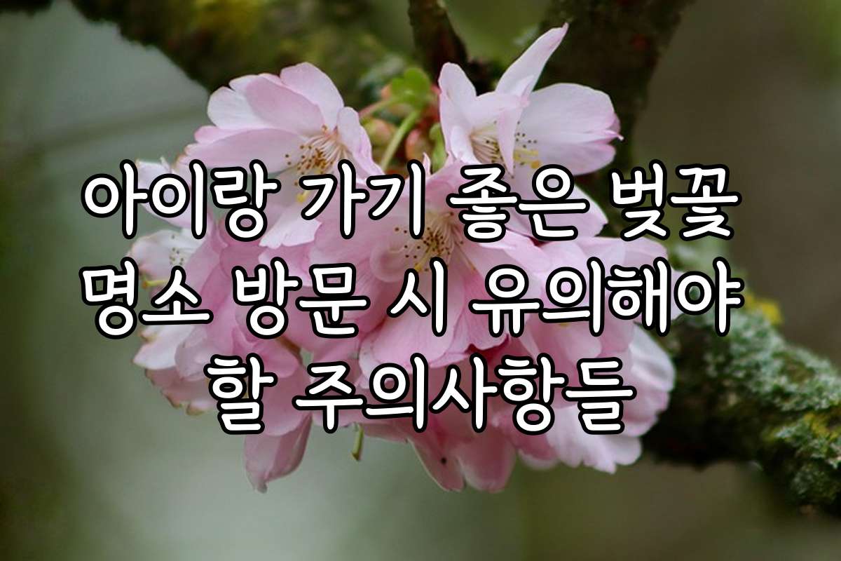 아이랑 가기 좋은 벚꽃 명소 방문 시 유의해야 할 주의사항들