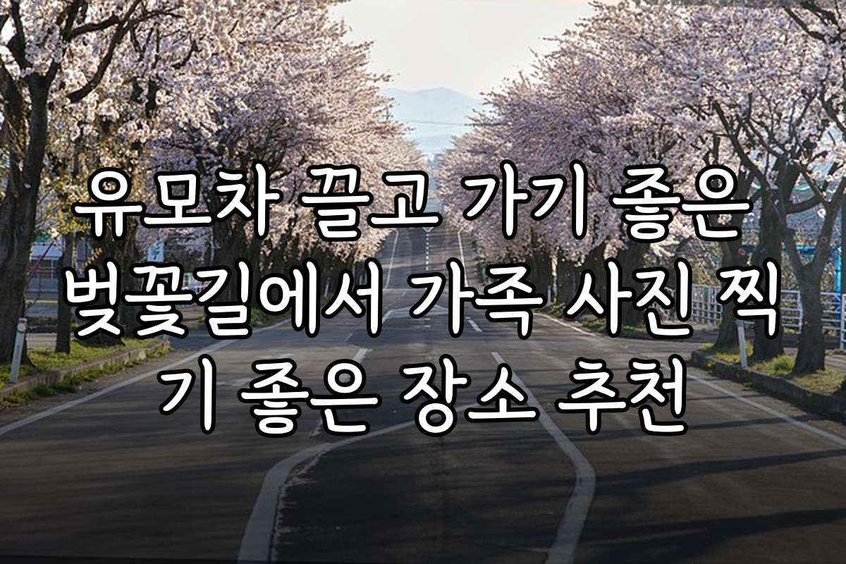 유모차 끌고 가기 좋은 벚꽃길에서 가족 사진 찍기 좋은 장소 추천