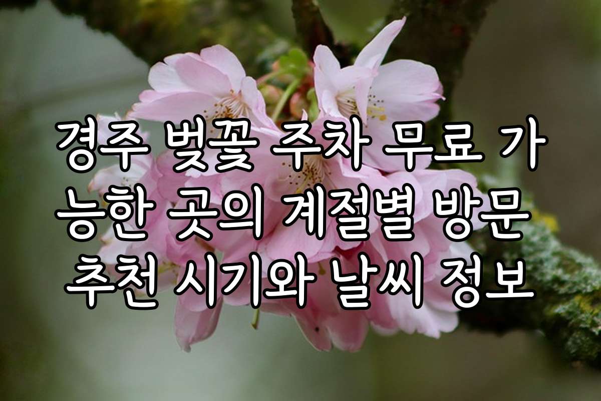 경주 벚꽃 주차 무료 가능한 곳의 계절별 방문 추천 시기와 날씨 정보