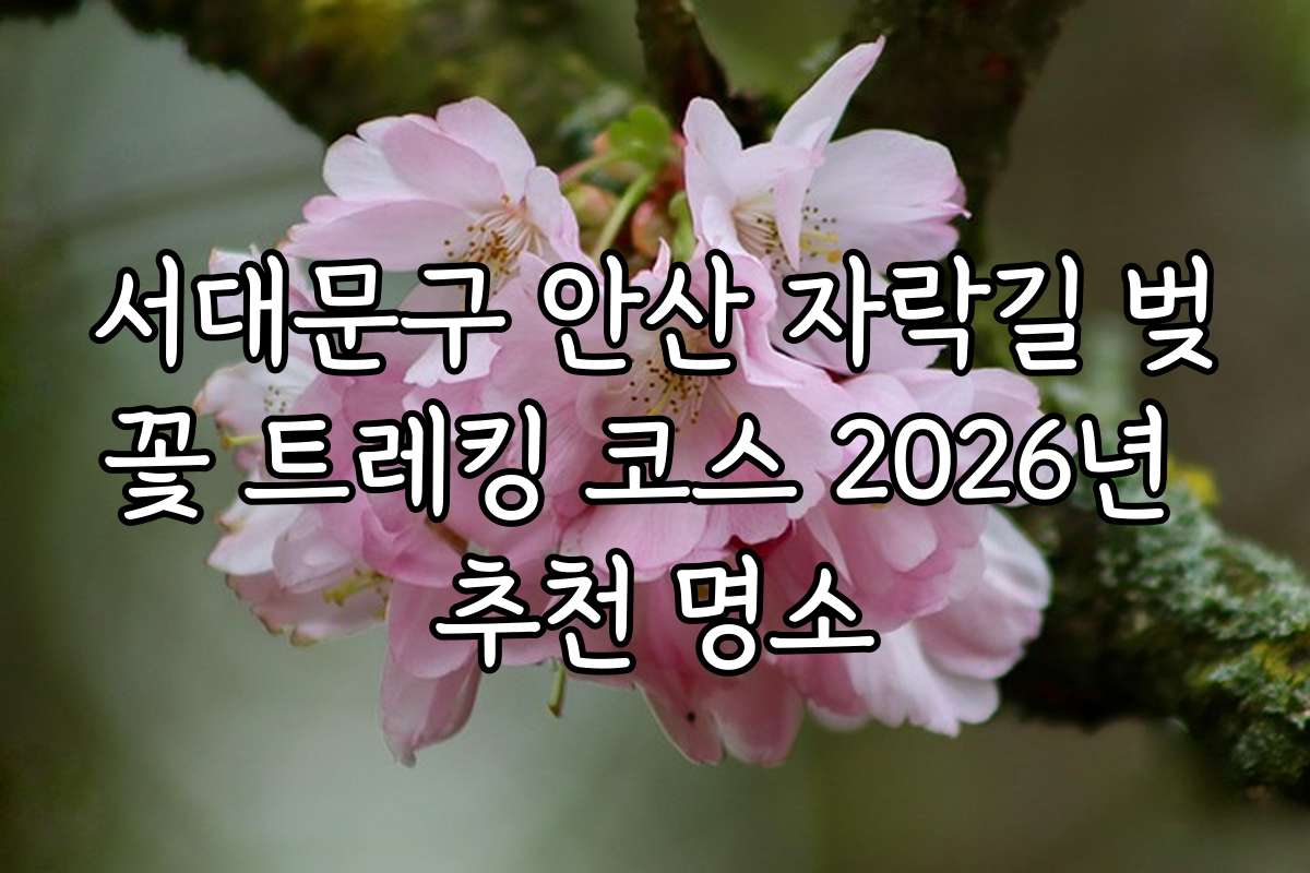 서대문구 안산 자락길 벚꽃 트레킹 코스 2026년 추천 명소