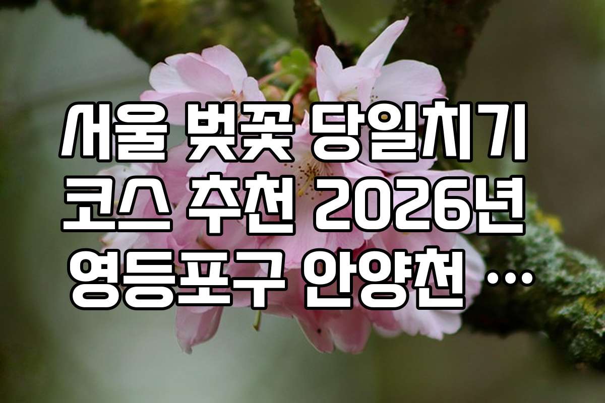 서울 벚꽃 당일치기 코스 추천 2026년 영등포구 안양천 벚꽃 산책로 안내