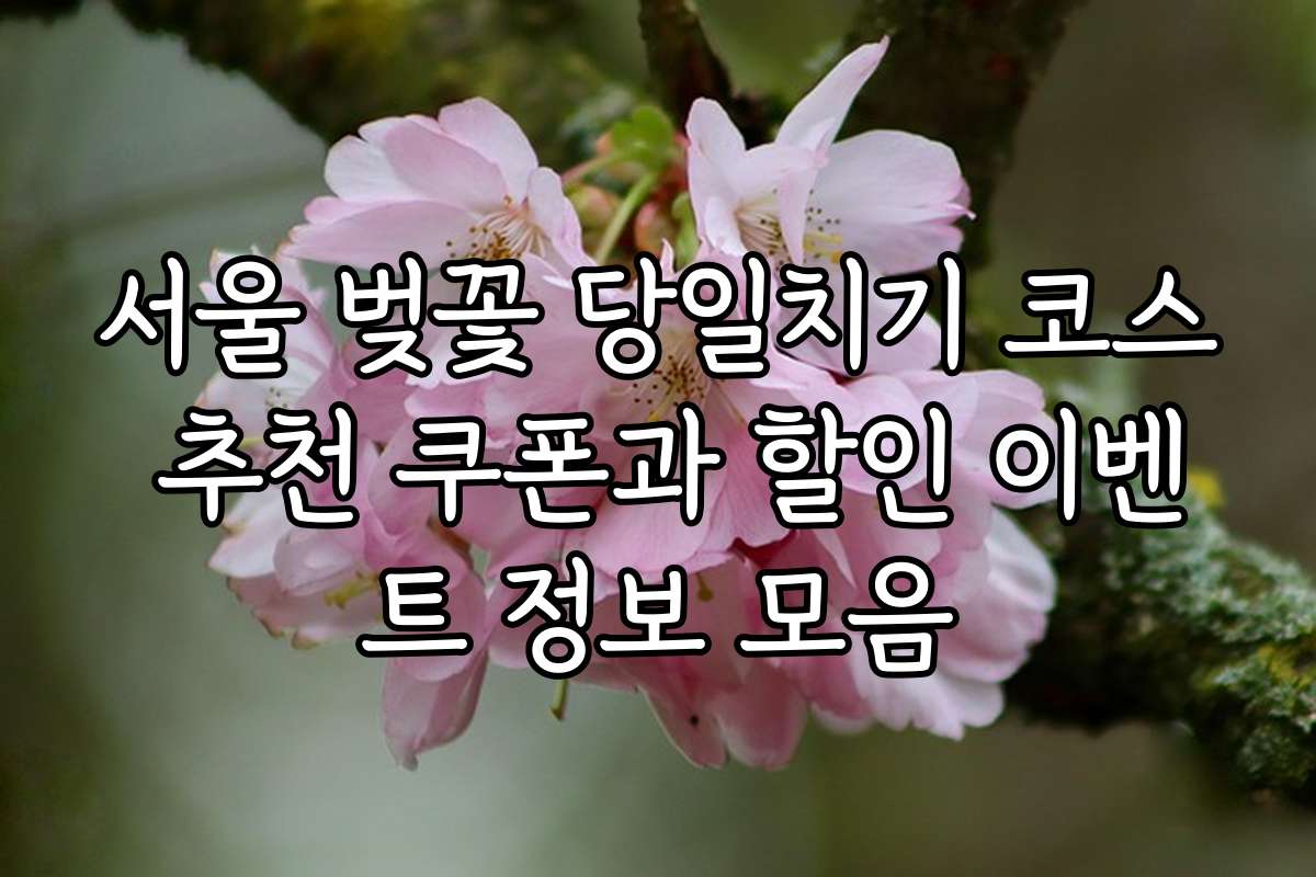 서울 벚꽃 당일치기 코스 추천 쿠폰과 할인 이벤트 정보 모음
