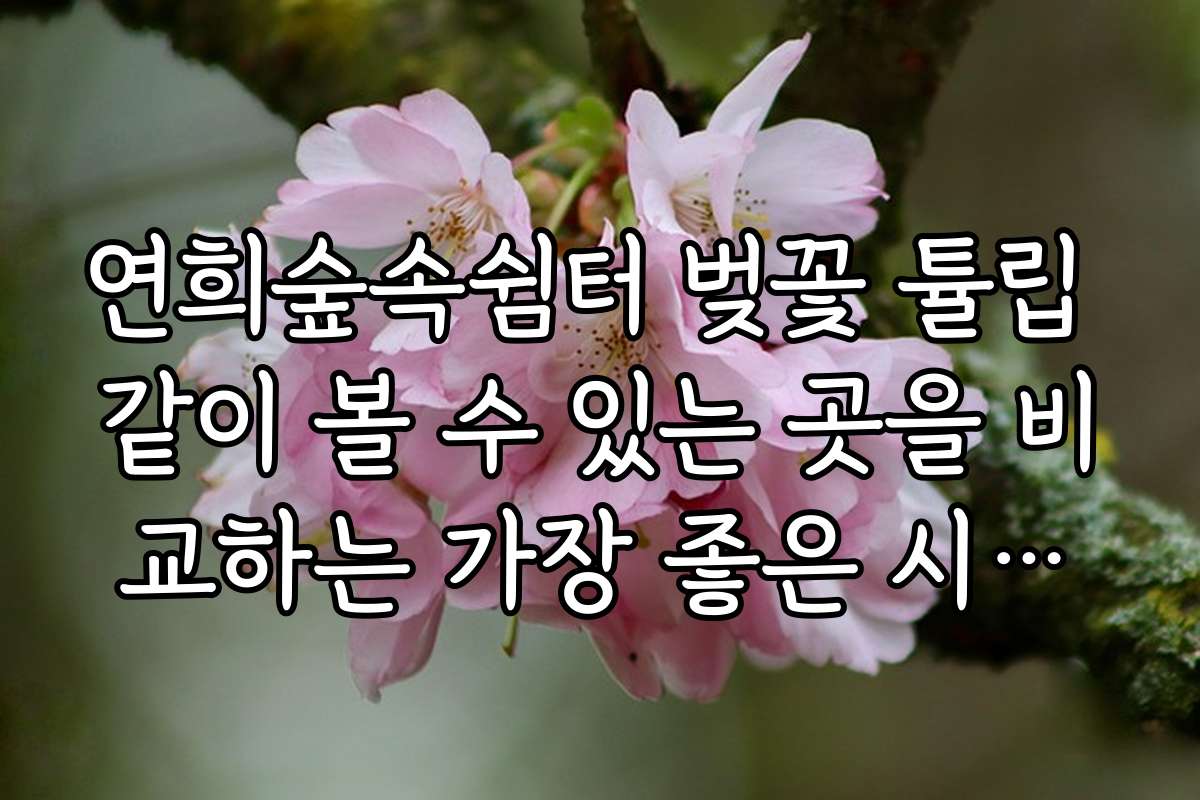 연희숲속쉼터 벚꽃 튤립 같이 볼 수 있는 곳을 비교하는 가장 좋은 시기와 포인트