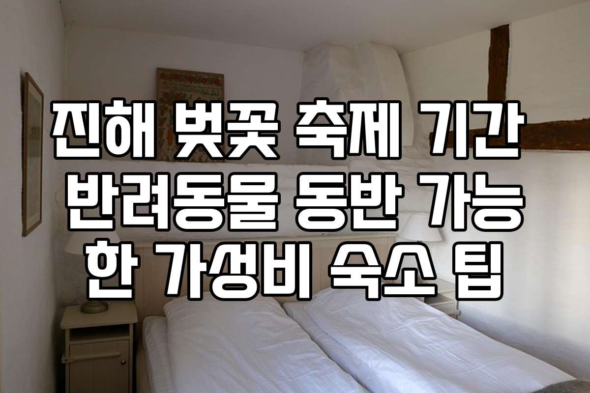 진해 벚꽃 축제 기간 반려동물 동반 가능한 가성비 숙소 팁