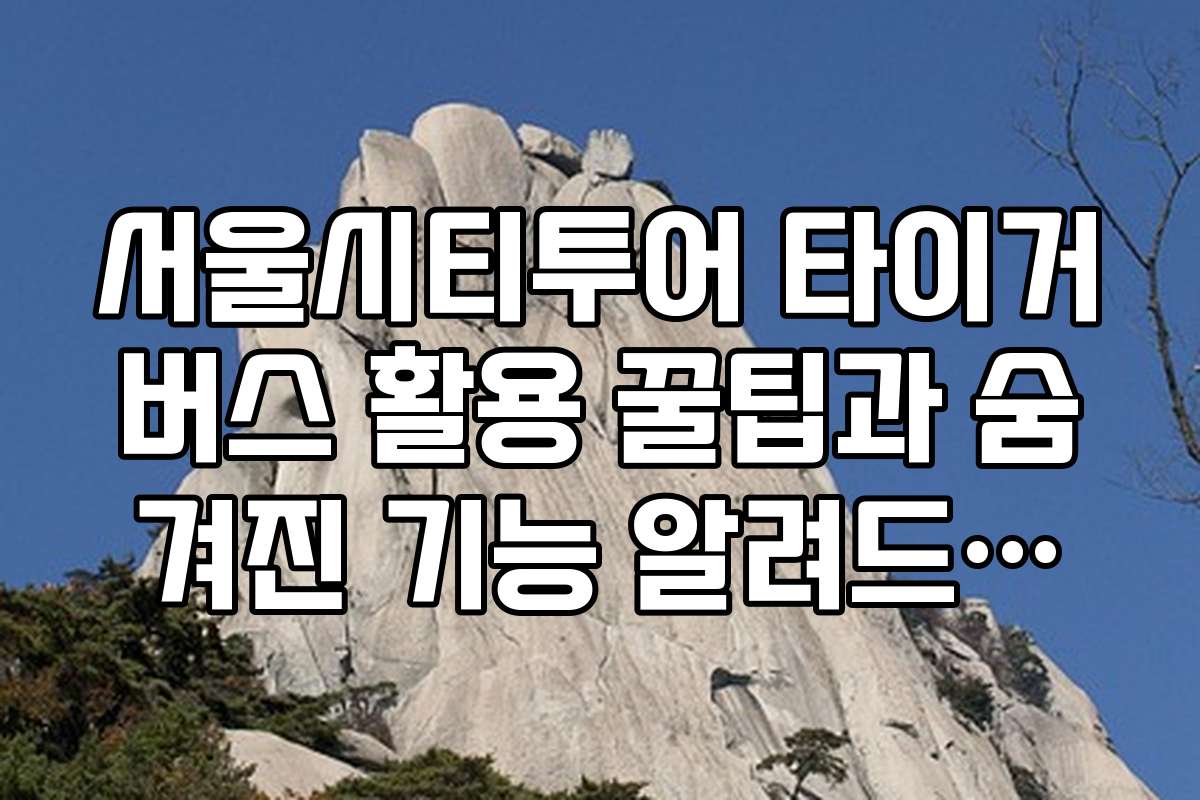 서울시티투어 타이거버스 활용 꿀팁과 숨겨진 기능 알려드립니다