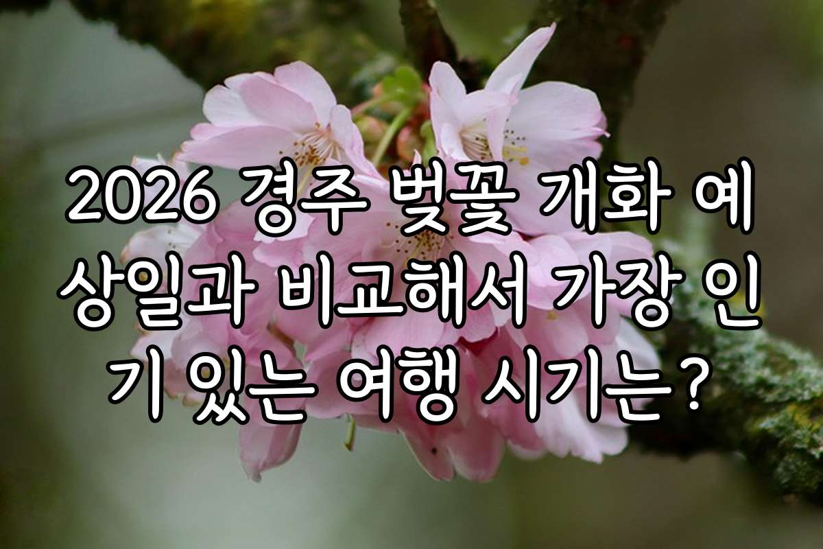 2026 경주 벚꽃 개화 예상일과 비교해서 가장 인기 있는 여행 시기는?