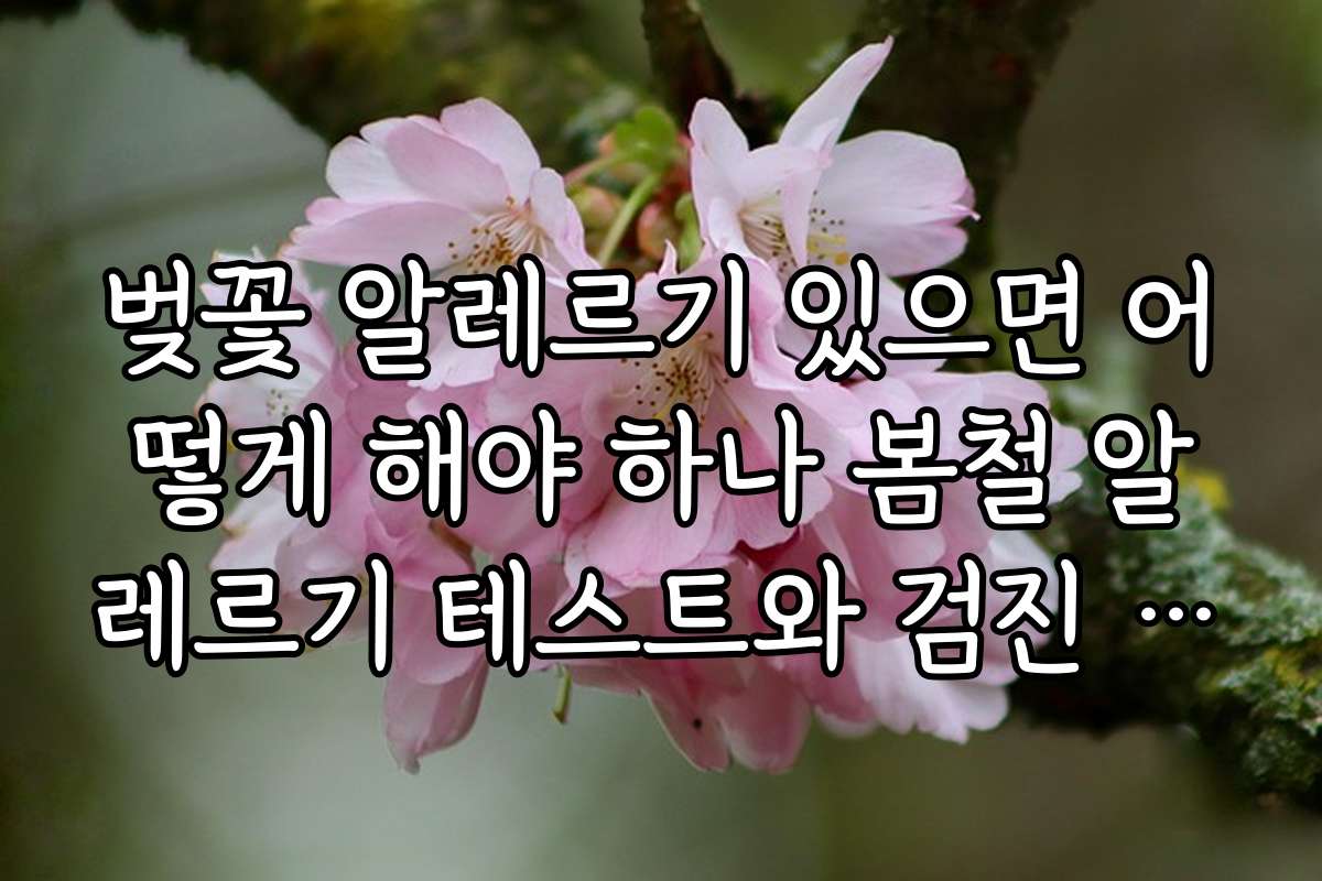벚꽃 알레르기 있으면 어떻게 해야 하나 봄철 알레르기 테스트와 검진 비용 안내