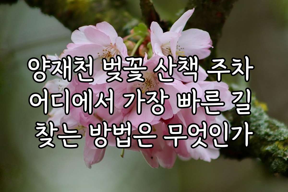 양재천 벚꽃 산책 주차 어디에서 가장 빠른 길 찾는 방법은 무엇인가