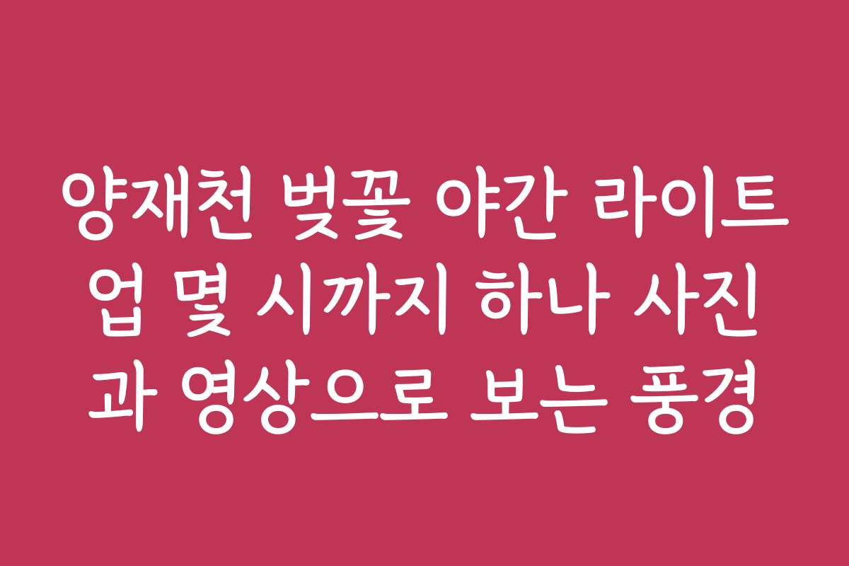 양재천 벚꽃 야간 라이트업 몇 시까지 하나 사진과 영상으로 보는 풍경
