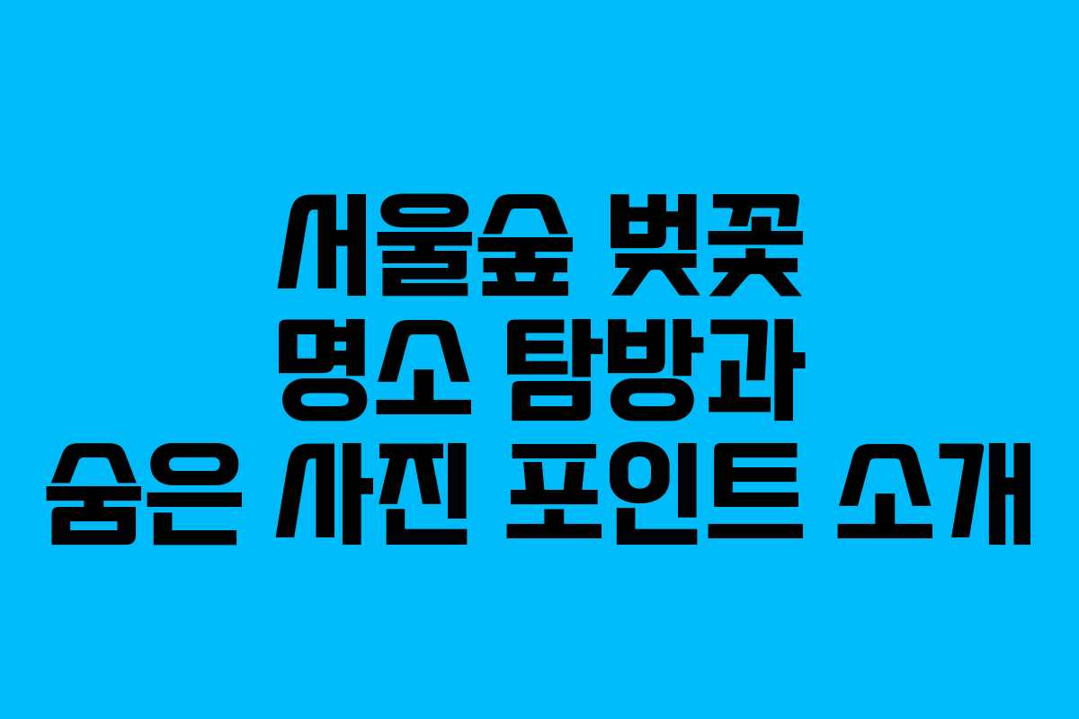 서울숲 벚꽃 명소 탐방과 숨은 사진 포인트 소개