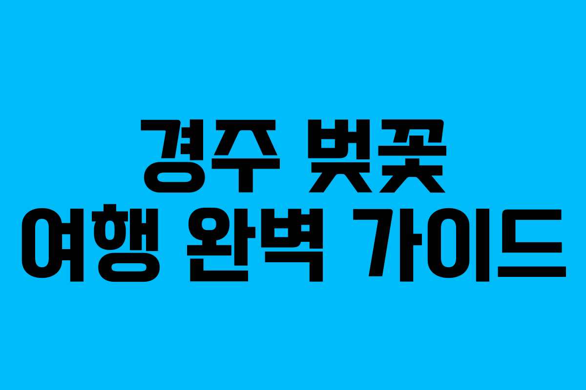 경주 벚꽃 여행 완벽 가이드