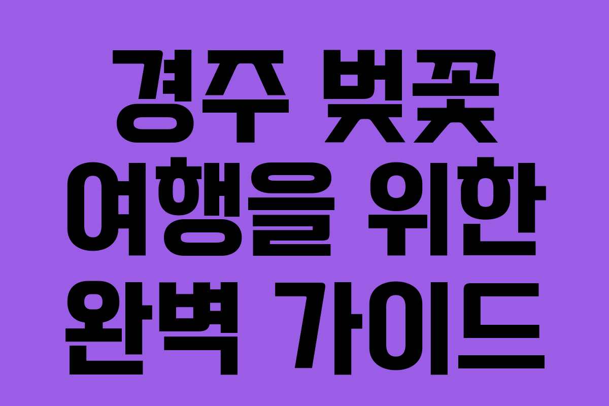 경주 벚꽃 여행을 위한 완벽 가이드