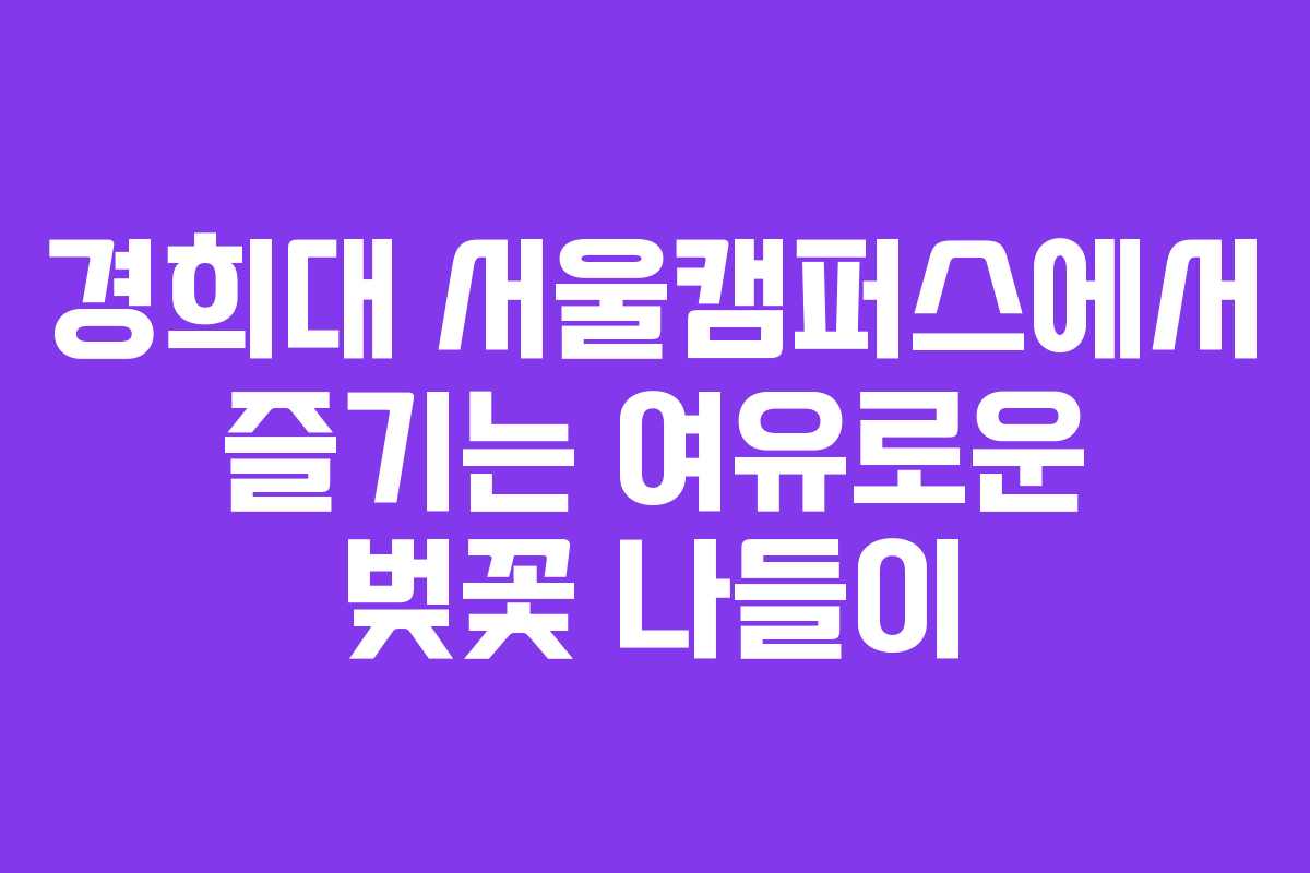 경희대 서울캠퍼스에서 즐기는 여유로운 벚꽃 나들이