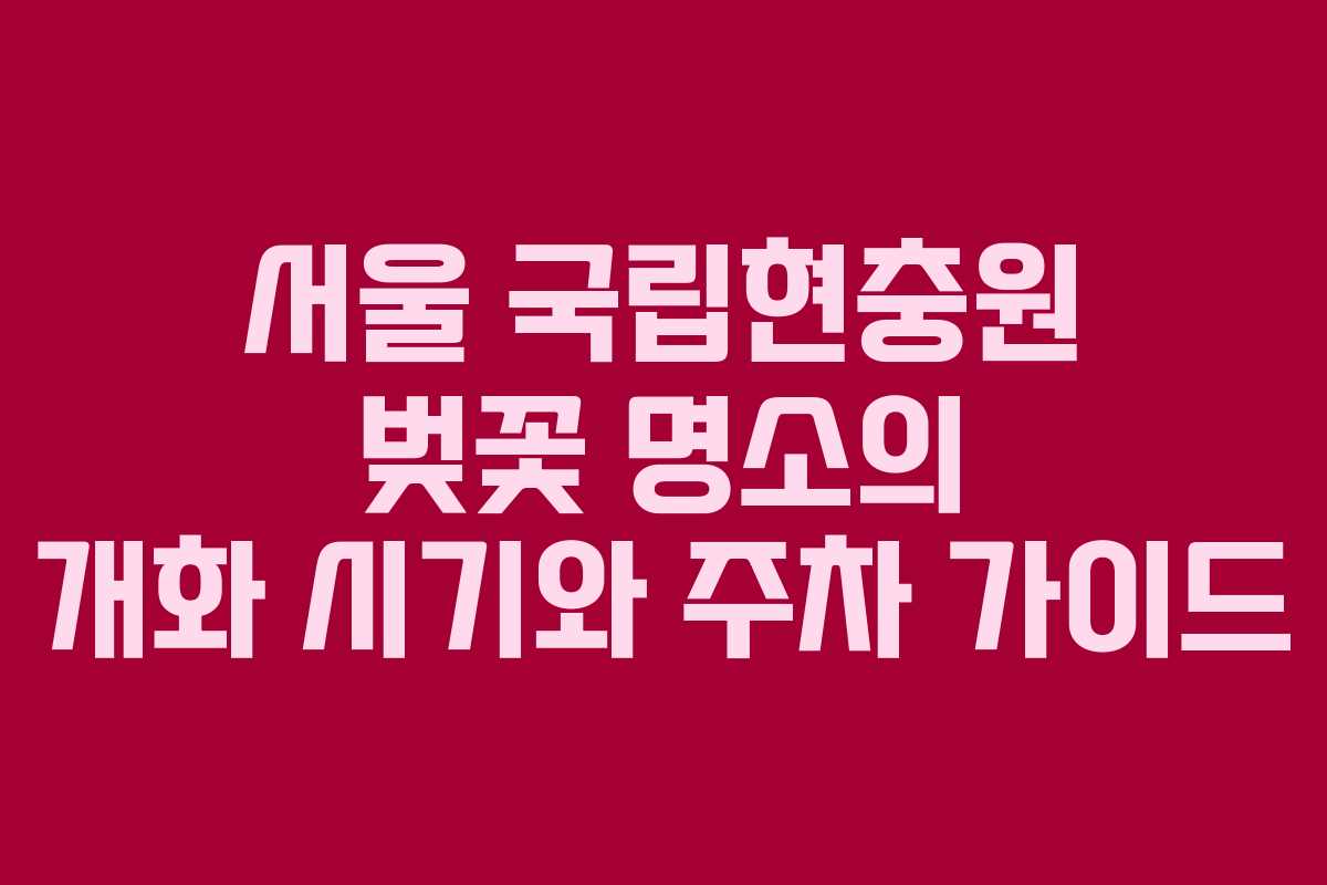 서울 국립현충원 벚꽃 명소의 개화 시기와 주차 가이드
